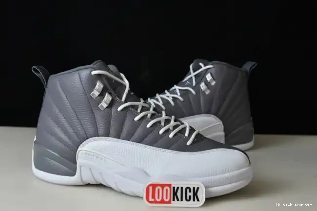 Rep TBK STEALTH JORDAN 12 CT8025-610 AIR 0219