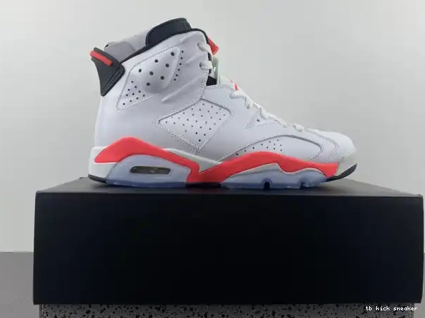 Rep TBK 384664-123 Infrared Retro White 6 Jordan (2014) 0228