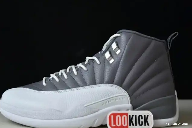 Rep TBK STEALTH JORDAN 12 CT8025-610 AIR 0219