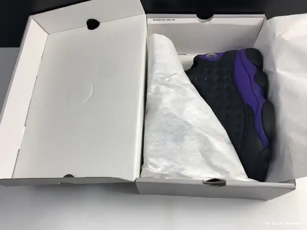 Reps TBK 13 Jordan DJ5982-015 Air Court Purple 0218