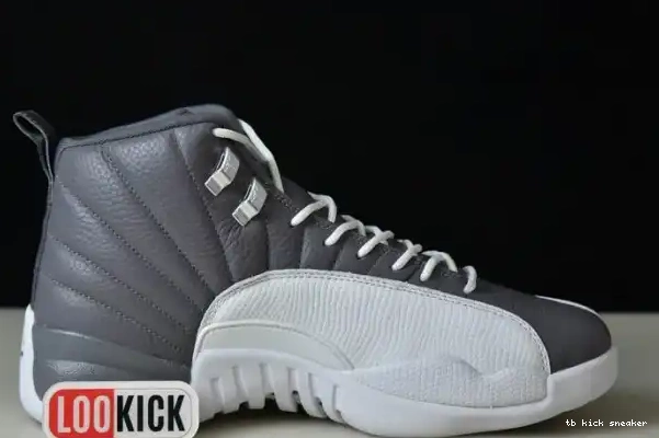 Rep TBK STEALTH JORDAN 12 CT8025-610 AIR 0219