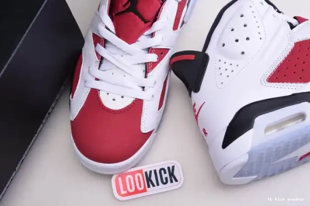 Reps TBK AIR 2021 6 JORDAN RETRO 'CARMINE' CT8529-106 0227