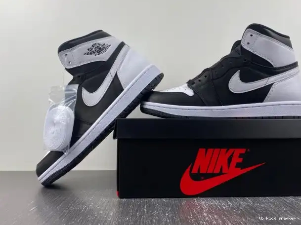 Rep TBK Reverse 1 High Jordan Panda Air DZ5485-010 OG 0222