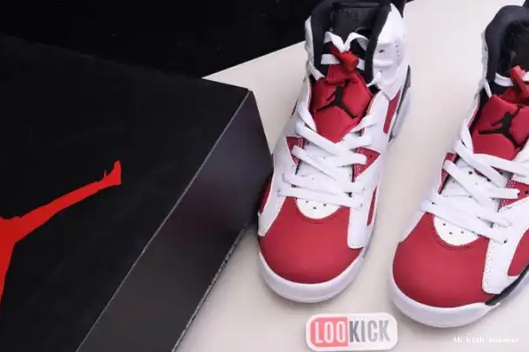 Reps TBK AIR 2021 6 JORDAN RETRO 'CARMINE' CT8529-106 0227