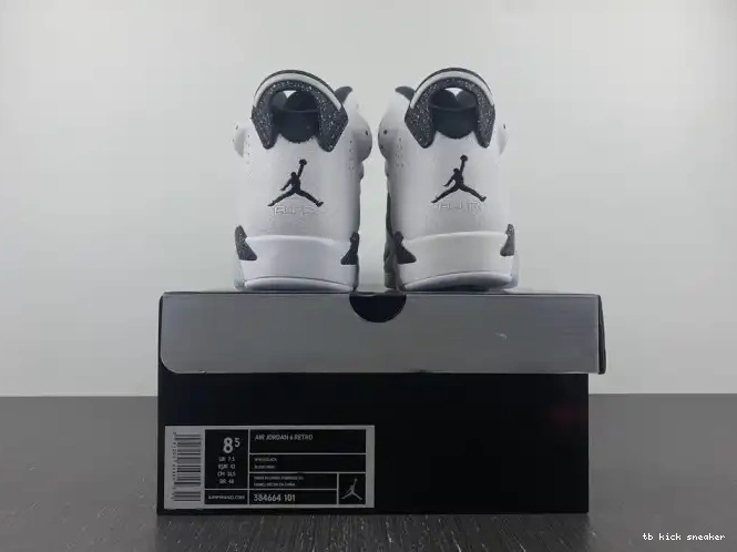 Reps TBK Jordan 6 384664-101 Oreo Retro 0208