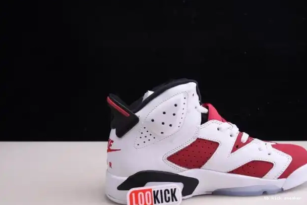 Reps TBK AIR 2021 6 JORDAN RETRO 'CARMINE' CT8529-106 0227