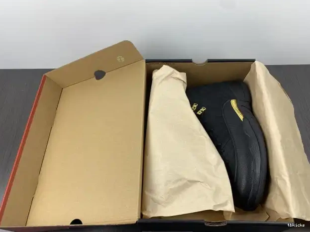 Rep TBK Black Jordan Air Taxi 12 CT8013-071 0223