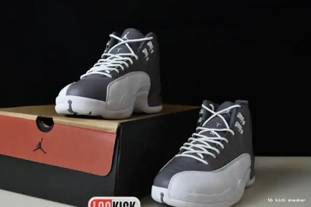 Rep TBK STEALTH JORDAN 12 CT8025-610 AIR 0219